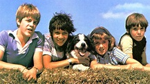 The Famous Five (TV Series 1978 - 1979)