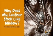 5 Reasons Leather Smells Like Mildew (Plus 3 Home-Remedies ...