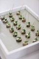 21st Birthday party - canapes By Word of Mouth | Party canapes ...