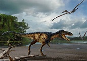 New horse-sized tyrannosaur with big brain reveals how "T. rex" became ...