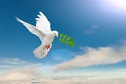 Dia Mundial da Paz - 1º de Janeiro - Datas comemorativas - InfoEscola