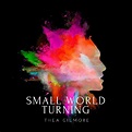Thea Gilmore: Small World Turning (LP) – jpc