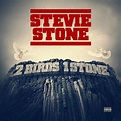 Stevie Stone-2 Birds,1 Stone 2013 » Lossless-Galaxy - лучшая музыка в ...