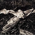 Plight and Premonition - David Sylvian : Expect Everything And Nothing Less