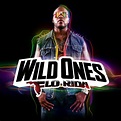 Wild Ones - Album by Flo Rida | Spotify