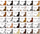Warrior Cat Names - 21 Gobal creative platform for custom graphic design