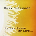AT THE SPEED OF LIFE.../BILLY SHERWOOD/ビリー・シャーウッド｜PROGRESSIVE ROCK｜ディスク ...