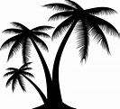 Vectores palmeras gratis - Imagui