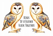 Birds of a Feather Flock Together Fine Art Print Barn Owl - Etsy