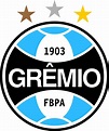 Grêmio | Grêmio futebol clube, Gremio fbpa, Grêmio