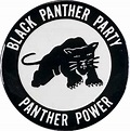 Oct. 15, 1966: The Black Panther Party Was Founded | Zinn Education Project