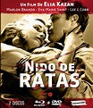 Nido De Ratas - Cinematekka Manquehue