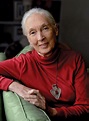 Jane Goodall | Biography, Awards, Institute, Books, & Facts | Britannica