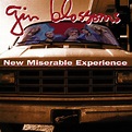 Gin Blossoms - New Miserable Experience (2017, Vinyl) | Discogs
