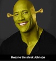 The Rock Face Meme Discover more interesting Dwayne Johnson, Face Swap ...