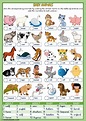 The animals interactive and downloadable worksheet. You can do the ...