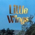 "Wonderue" by Little Wings (distributed LP) — Gnome Life Records