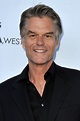 What Happened to Harry Hamlin - News and Updates - Gazette Review