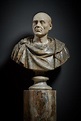 Bust of Scipio Africanus | Giovanni Pratesi: The Florentine Eye | 2023 ...