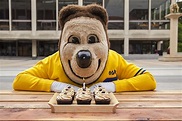 Birthday Bear: Iconic Oski turns 75 | Berkeley