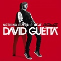 David Guetta - Nothing But The Beat - Ultimate (2cd) | 57.01 lei | Rock ...