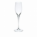 花蕾 Tsubomi 鬱金香型香檳杯 - 強化玻璃款 – 菅原工藝硝子Taiwan