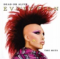 Dead Or Alive - Evolution - The Hits (2003, CD) | Discogs
