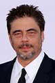 Benicio del Toro - Profile Images — The Movie Database (TMDB)