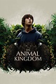 The Animal Kingdom (2024) – Gateway Film Center