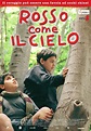 Rosso come il cielo (2005) - MYmovies.it