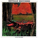 The Neville Brothers, 'Fiyo on the Bayou' | 100 Best Albums of the ...