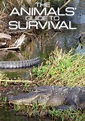 The Animals' Guide to Survival - streaming online