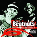 The Beatnuts INTOXICATED DEMONS Vinyl Record