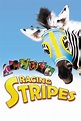 Racing Stripes (2005) - Posters — The Movie Database (TMDb)