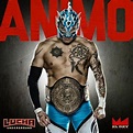 Fénix (born December 30, 1990) is a Mexican luchador enmascarado, or ...