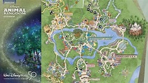 Disney Animal Kingdom Map 2023 in PDF and Printable Formats