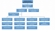 Organigrama Estructural del Laboratorio - Administración Provincial del ...