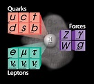 The difference between a quark and a lepton is - gulfsit