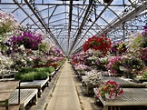 STRATTON GREENHOUSES - Updated May 2024 - 9915 Lincoln Hwy, Bluffton ...