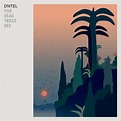 Dntel: The Seas Trees See (LP) – jpc