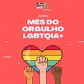 Mês do orgulho LGBTQIA+ - Sinthoress