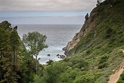 Partington Cove Trail - Julia Pfeiffer Burns State Park Big Sur - Ten ...