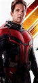 1125x2436 Paul Rudd As Antman In Ant Man And The Wasp 10k Iphone XS ...