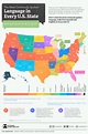 Most Common Language in U.S. States (Besides English and Spanish)