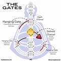 Gate Human Design - Design Talk