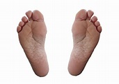 2 Feet Free Stock Photo - Public Domain Pictures