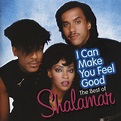 I Can Make You Feel Good - The Best Of 2012 Disco - Shalamar - Download ...