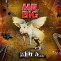 WHAT IF... - Mr. Big