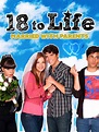 18 to Life (2010)