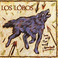 How Will The Wolf Survive - Los Lobos